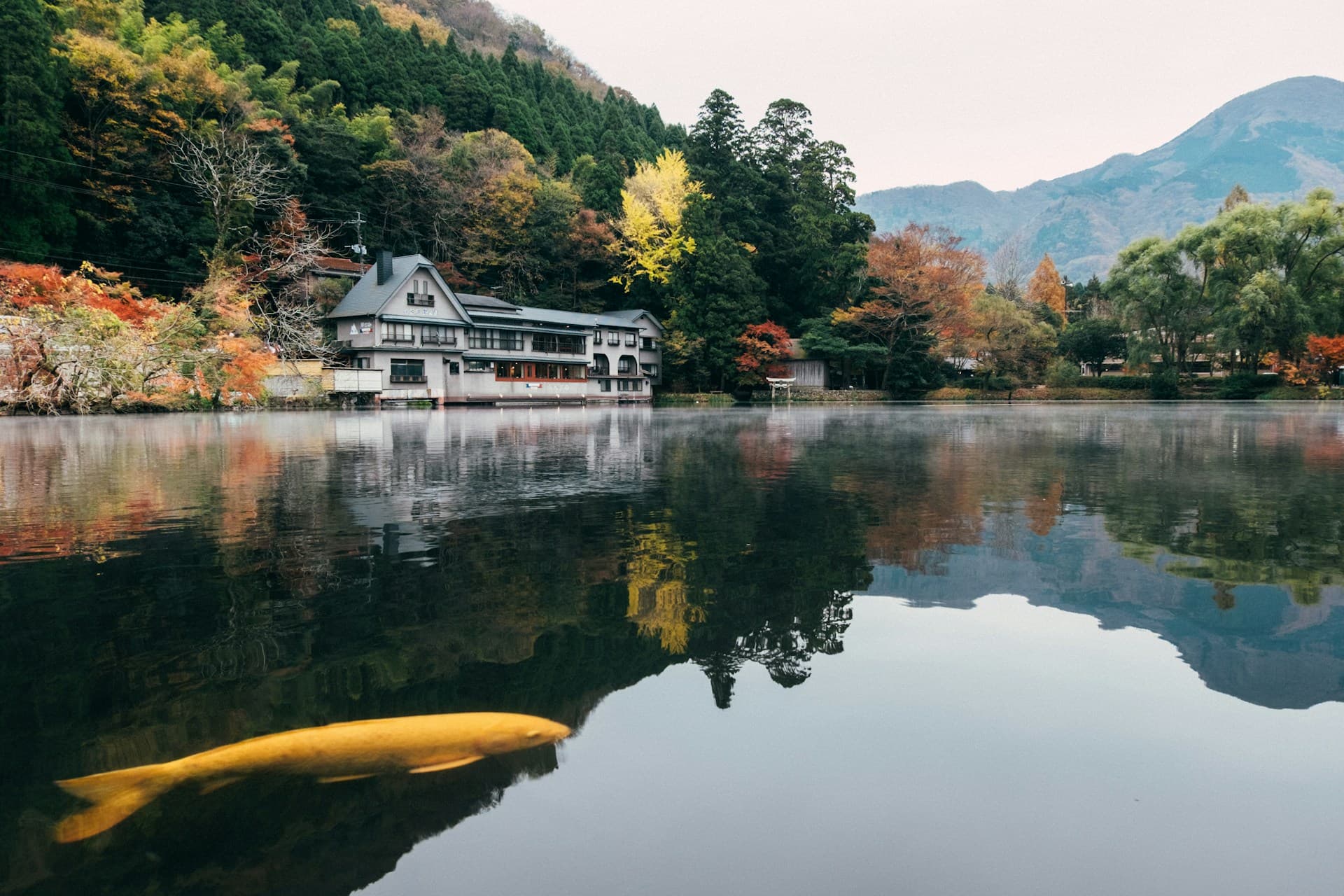 유후인 산골 마을과 킨린코 호수 풍경